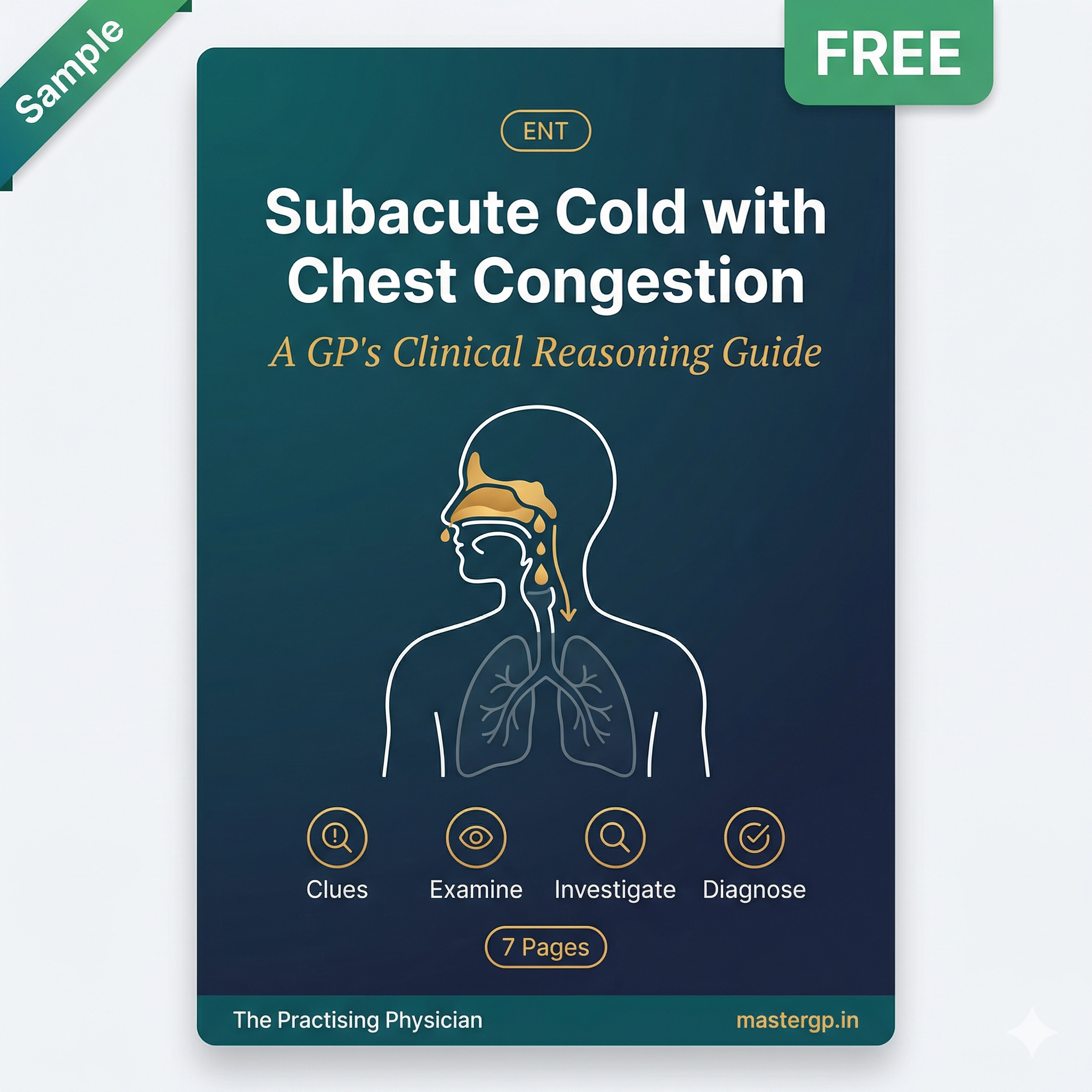 Subacute Cold with Chest Congestion — GP Clinical Reasoning Guide